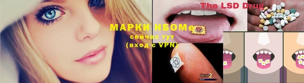 круглые Аркадак