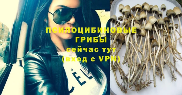 круглые Аркадак