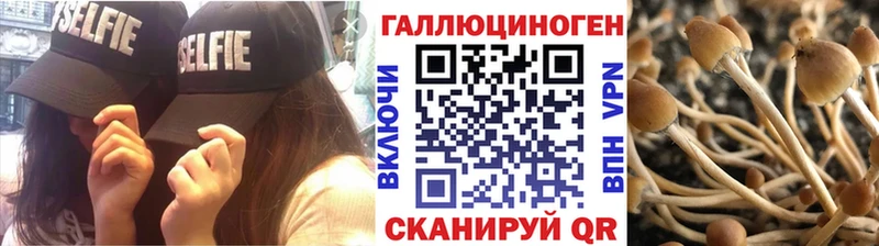 цены наркотик  Петухово  Галлюциногенные грибы Psilocybine cubensis 