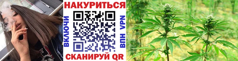 МАРИХУАНА планчик Петухово